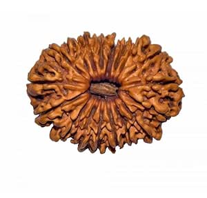 18 Mukhi