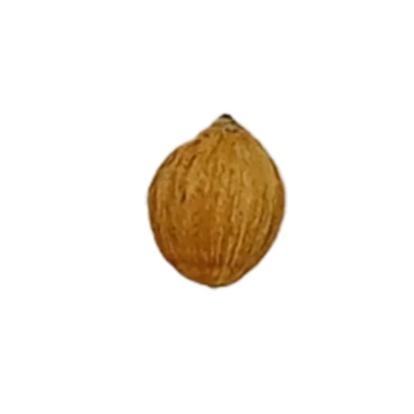 Laghu Nariyal